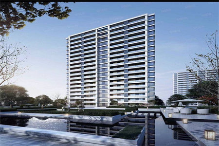 客厅放什么花草